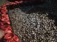 -福建土楼·永定景区-侨福楼