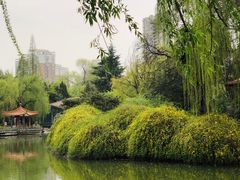 -西苑公园