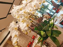 -富淳饭店(陆家嘴保利广场店)