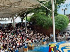 -海合安成都极地海洋公园