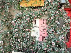 -丽江庭院·云南野生菌·海鲜火锅(鼓楼四合院店)
