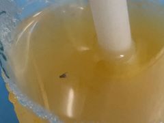 -1点点(东方宝泰店)