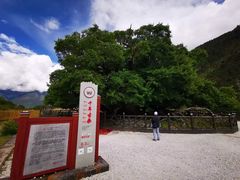 -雅鲁藏布江
