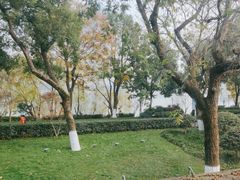 -橘洲1910花园江景西餐厅
