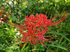 -苏州河梦清园环保主题公园