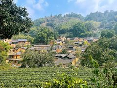 -杨家堂村