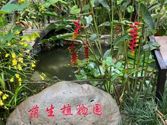 -中国科学院西双版纳热带植物园