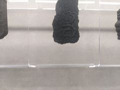 -徐汇艺术馆
