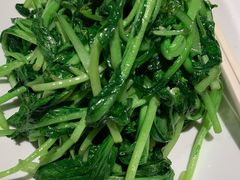 清炒鸡毛菜-燕郊烧鸽子(广安路店)