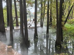 -东湖落雁景区