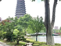-红梅公园