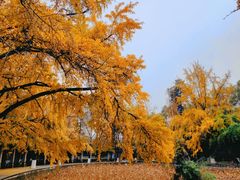 -四川大学(华西校区)