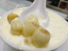 -义顺牛奶公司(新马路老店)
