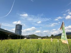 -光明小镇欢乐田园