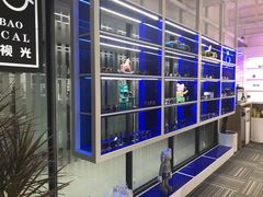 -鲸渝眼镜·浅目视光(春熙路店)