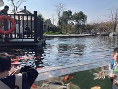 -南京银杏湖乐园