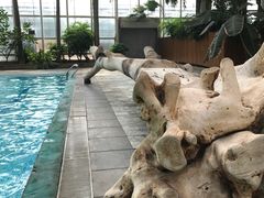 -龙达温泉生态城