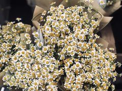 -循礼门鲜花花市(武汉循礼门店)