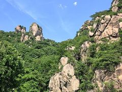 -大岭沟猕猴桃谷风景区