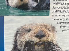 -西雅图水族馆