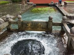 -百脉泉景区