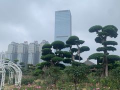 -南宁南湖公园