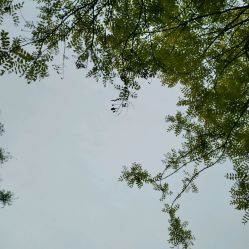 -天津市中心妇产科医院(南开院区)