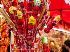 -越秀西湖花市(广州城市广场花卉店)