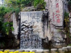 android_upload_pic-广州市流溪河国家森林公园
