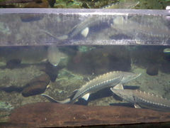 android_upload_pic-南昌海洋公园