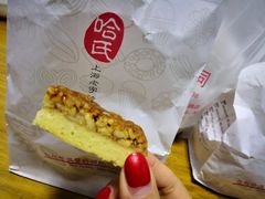 -上海哈尔滨食品厂(淮海中路店)