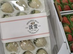 -海吉星市场