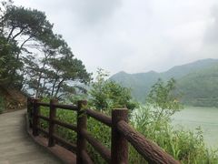 -羚羊峡古栈道森林公园