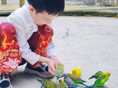 -成都欢乐谷