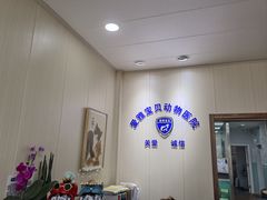 -中农大我爱我爱24h动物医院·中医针灸·猫专科·骨科医疗中心(双井店)