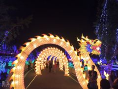 -八大山人梅湖景区