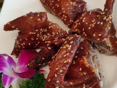 脆皮乳鸽-新南华大酒店(长寿店)