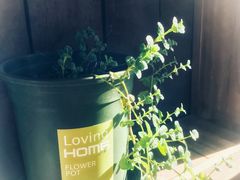 -唤醒你(国兴大厦店)