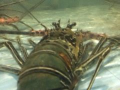 -庐州太太(双岗店)