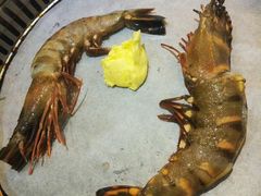 -熊出没日本烧肉放题