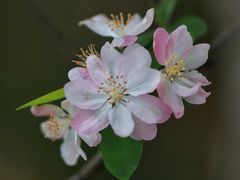 -上海吴淞炮台湾国家湿地公园