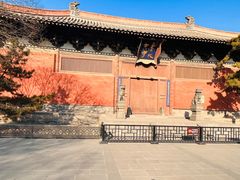 -善化寺