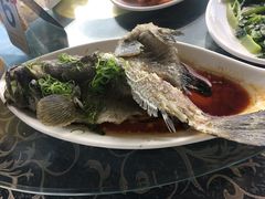 -七鲜渔港美食餐厅(巽寮湾海景店)