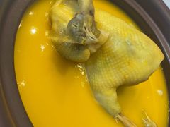 宫廷花胶鸡-院里寻菜·精致庭院菜(观沙岭店)