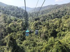 -野象谷景区