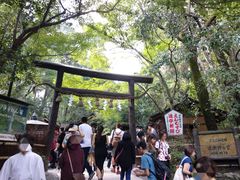 -野宫神社