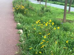 -永定河休闲森林公园