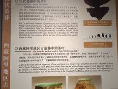 -中国茶叶博物馆(双峰馆区)