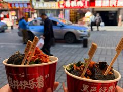 -黑色经典臭豆腐·湖南特产(坡子街店)