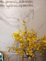 点击看大图 -潘多拉Hairsalon